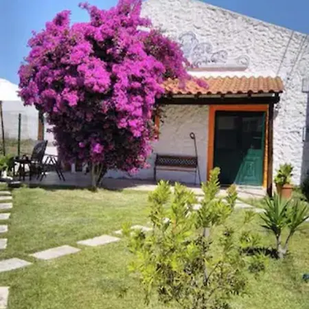 Casa Da Buganvilia Hébergement de vacances Reguengo Grande